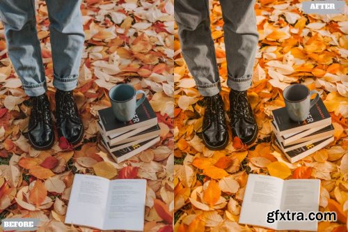 Autumn Lifstyle Lightroom Presets Dekstop Mobile