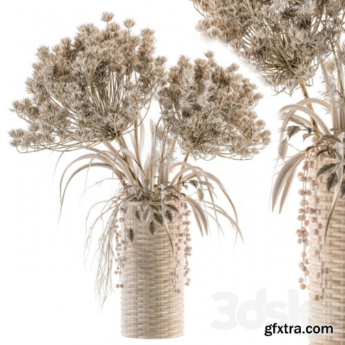 Dry plants 22 - dried Bouquet in Wicker Basket Vase