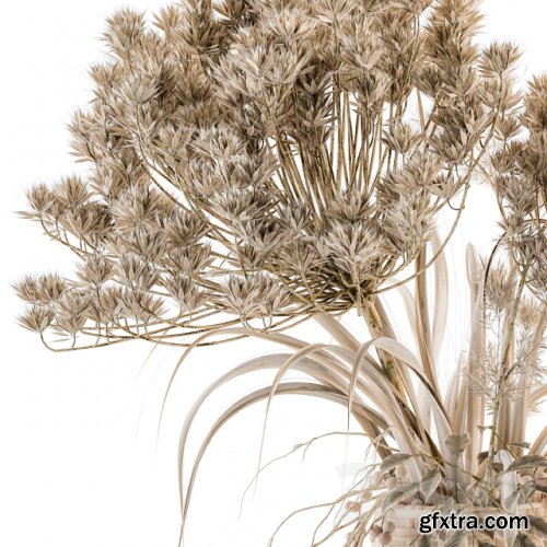 Dry plants 22 - dried Bouquet in Wicker Basket Vase