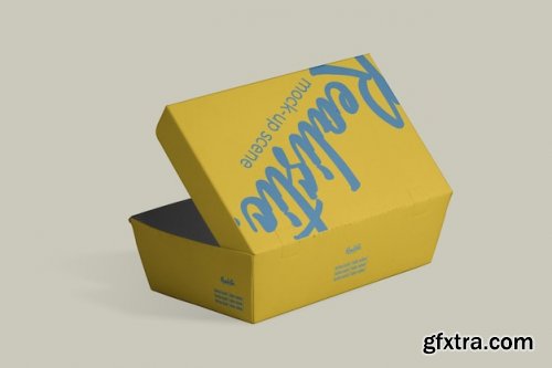 Box food packaging