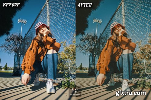 CreativeMarket - 10 Analog Lightroom Presets 7256679