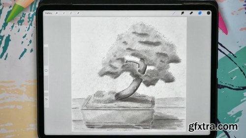  Shading a semi-realistic Bonsai Tree in Procreate 5x