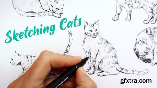  Sketching Cats: How To Draw 5 Different Poses