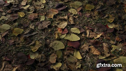 Debris Nature 03 PBR Material