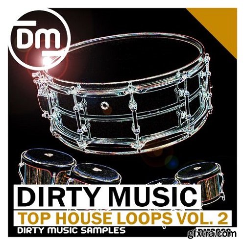 Dirty Music Top House Loops Vol 2 WAV