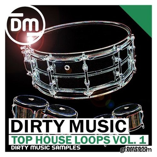 Dirty Music Top House Loops Vol 1 WAV