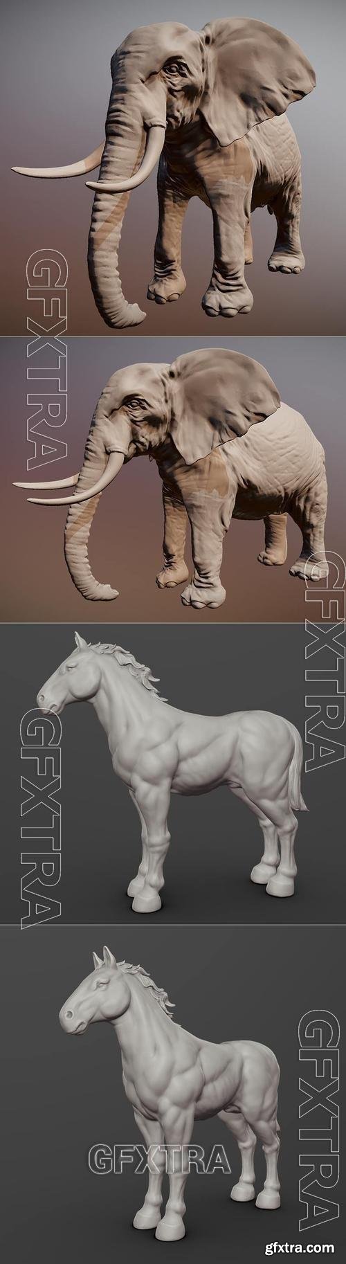 Elephant and War Horse 3D