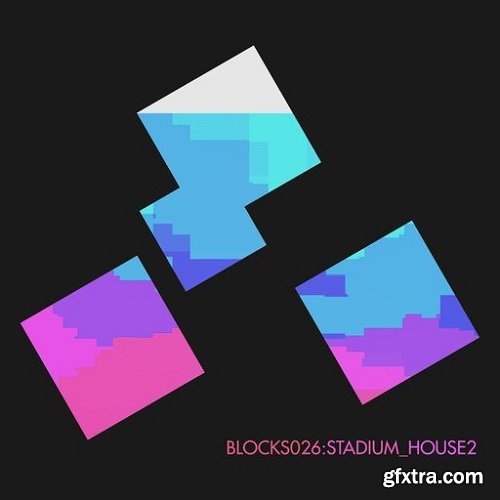 Xelon Digital Blocks 026 Stadium House WAV