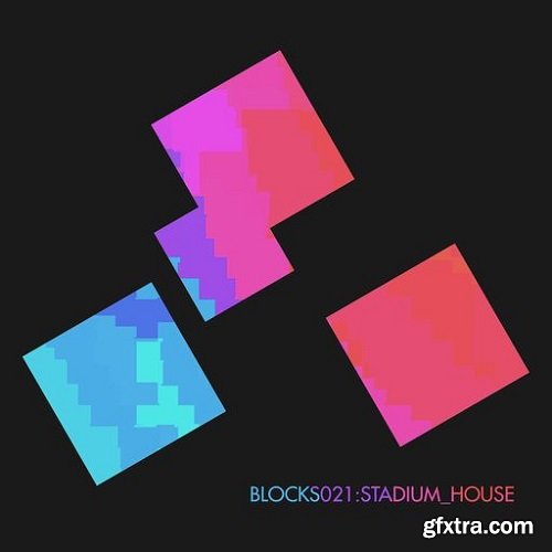 Xelon Digital Blocks 021 Stadium House WAV