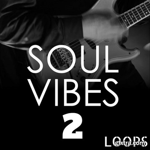 HOOKSHOW Soul Vibes Loops 2 WAV