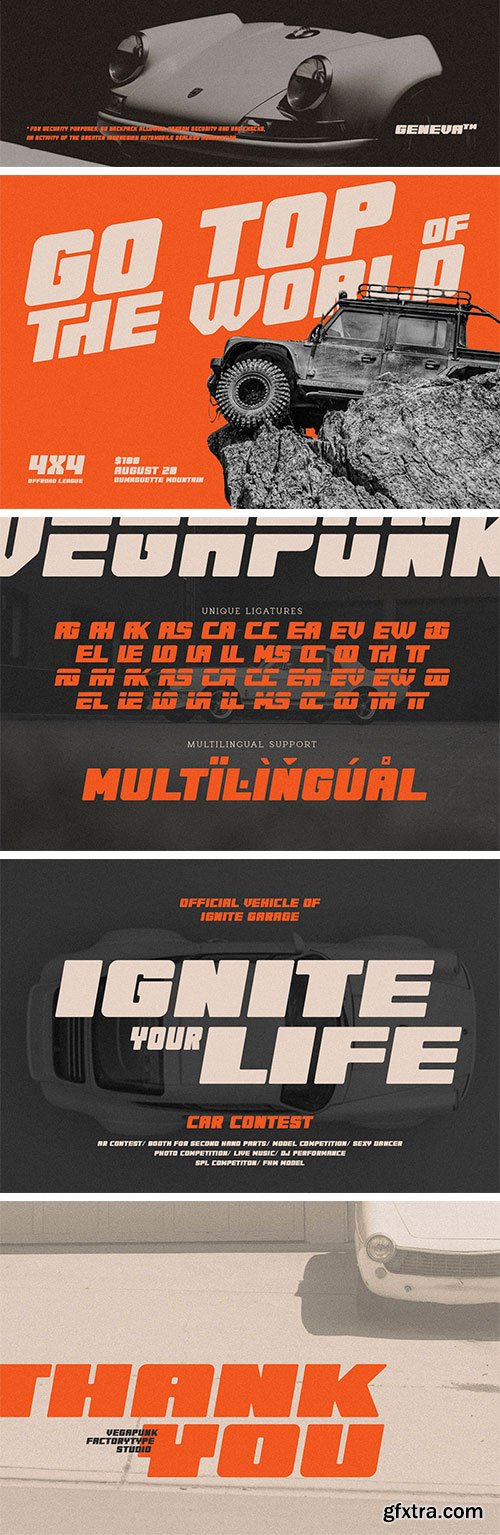 Vegapunk Font Family