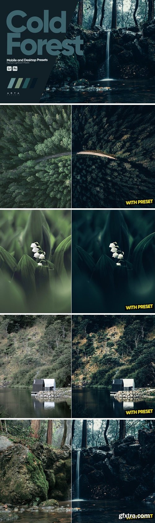 ARTA - Cold Forest Presets for Lightroom SQ4YRGA