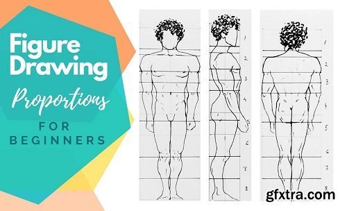 Figure Drawing Proportions for Beginners | Your Course on the First Step to Drawing Figures