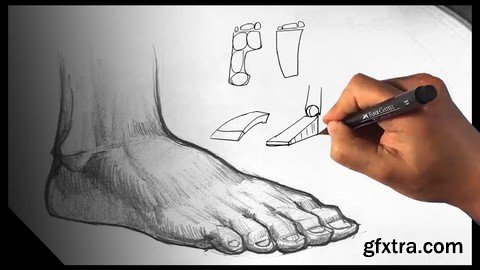 Draw Feet - Drawing For Beginners Legs Part I Figure Anatomy