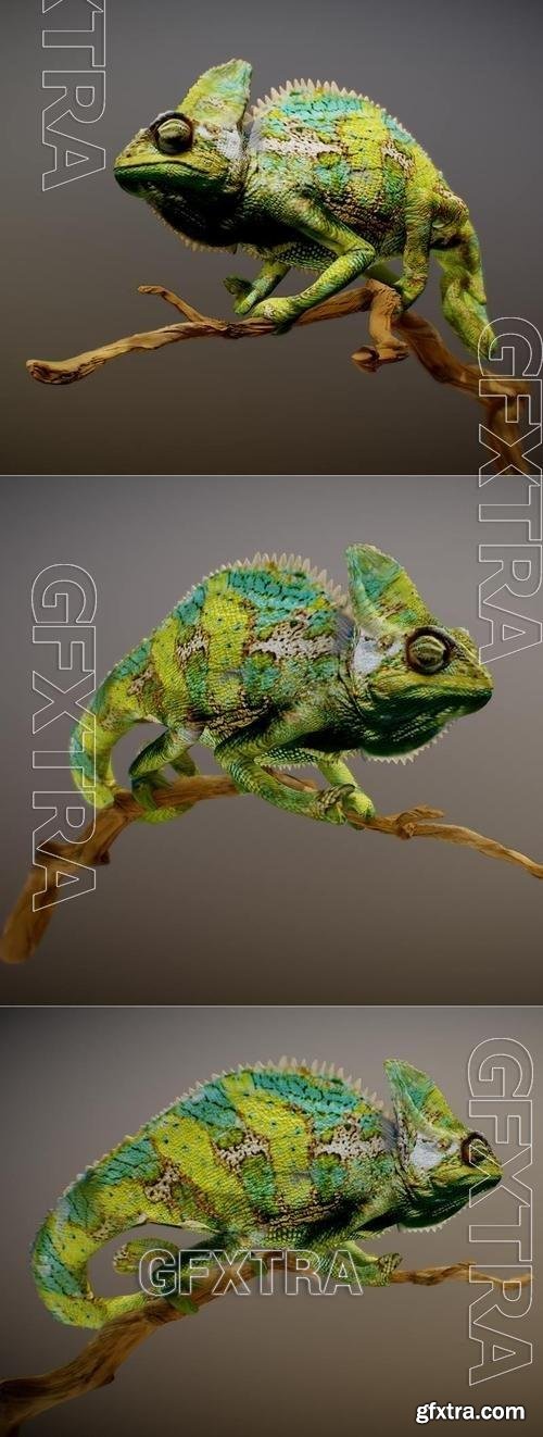 Chameleon Sculpt 3D 