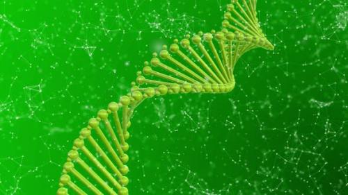 Videohive - Dark Green Plexus Dna Background - 38781562 - 38781562