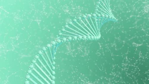 Videohive - Turkuaz Plexus Dna Background - 38781565 - 38781565