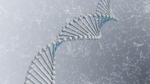 Videohive - Gray Dna Plexus - 38781568 - 38781568