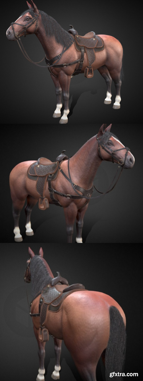 Horse 3D Model