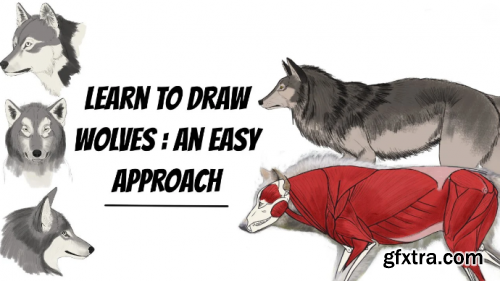 Learn To Draw Wolves: An Easy Approach