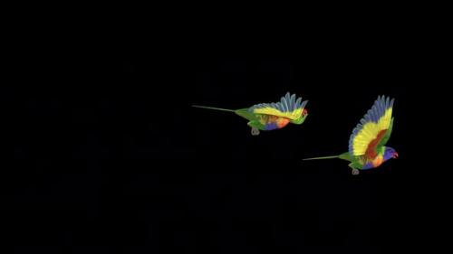 Videohive - Rainbow Lorikeets - Asian Parrots - Two Flying Birds - Transparent Transition II - 38866366 - 38866366