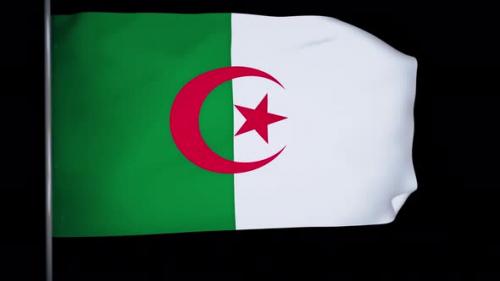 Videohive - Algeria Flag Animation 4k - 38793498 - 38793498