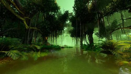 Videohive - Journey through the tropical mangrove jungle - 38886261 - 38886261