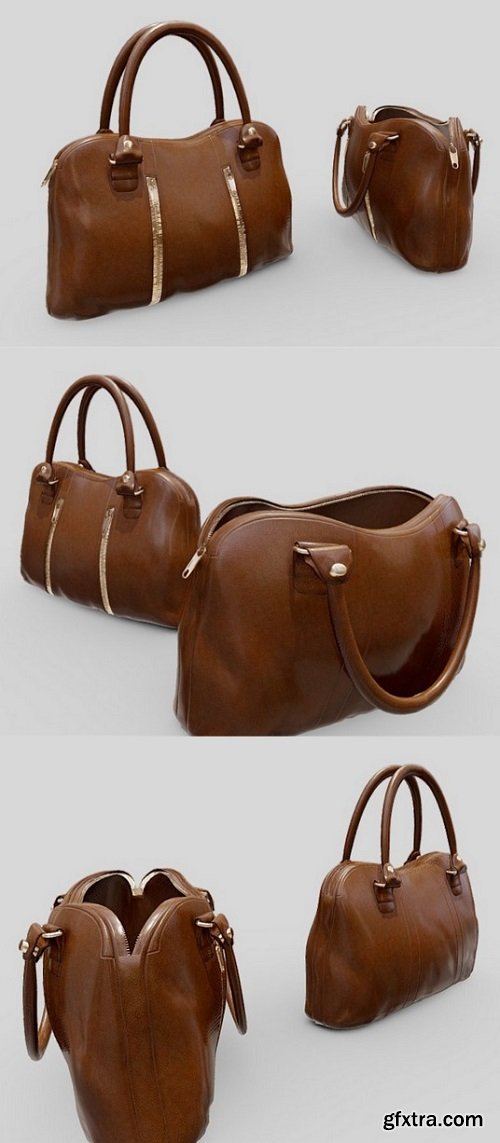 Luxury bag 3D Model