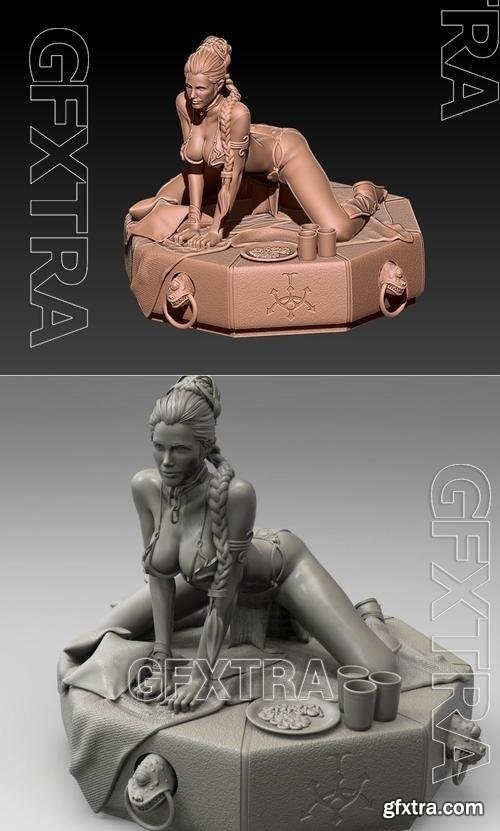 Leia Slave 3D