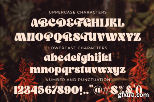  The Franky Dunkey Font