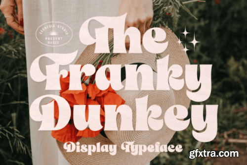  The Franky Dunkey Font