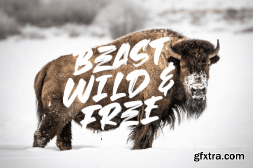  Beast Head Font