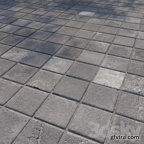 Paving stones 7