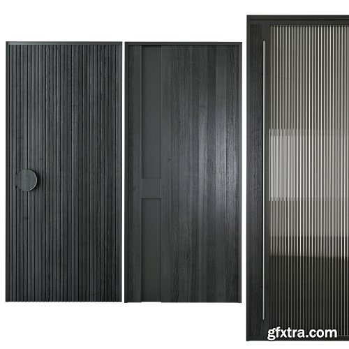 Black modern entrance door