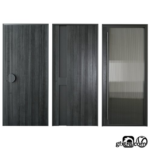 Black modern entrance door