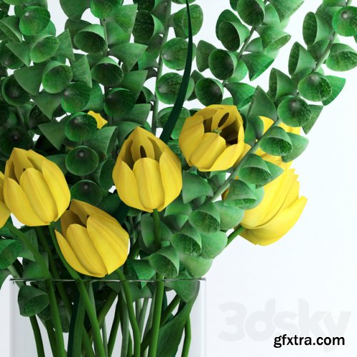 Yellow tulips and Moluccella