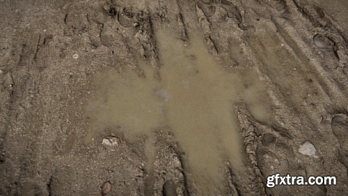  Mud puddle 3D Model