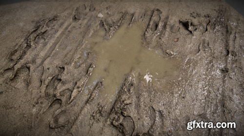  Mud puddle 3D Model