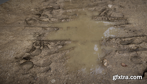  Mud puddle 3D Model