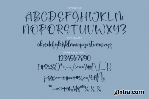  Daily Plann Font