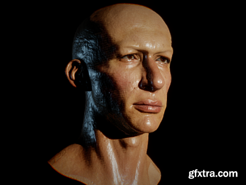 Adam Driver/Kylo Ren Head 3d model