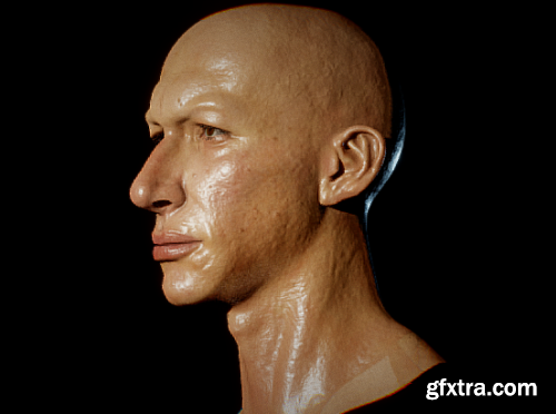 Adam Driver/Kylo Ren Head 3d model