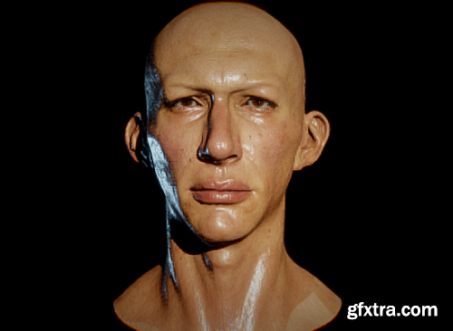 Adam Driver/Kylo Ren Head 3d model