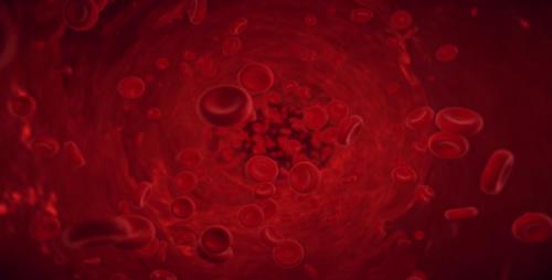 Videohive - Blood Cells - 20887608 - 20887608