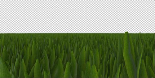 Videohive - Grass - 20893626 - 20893626