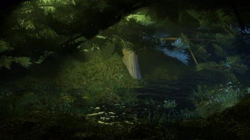Videohive - Late Night Landscape In Swamp Forest Beautiful Rainforest Scene - Nature Landscape - 36779141 - 36779141
