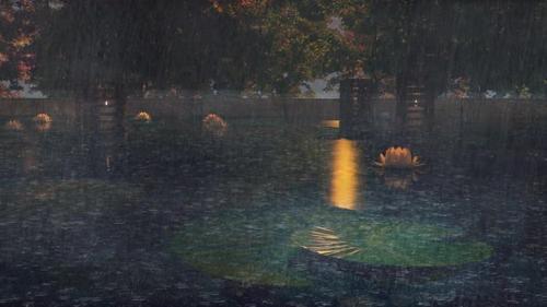 Videohive - 14 - Rain Falls At Night Into The Pool Full Of Wild Lotus Flowers In The Romantic Villa - 37649074 - 37649074