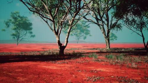 Videohive - African Savanna Landscape with Acacia Trees - 39011184 - 39011184