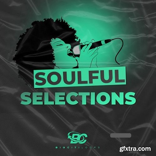 Big Citi Loops Soulful Selections WAV