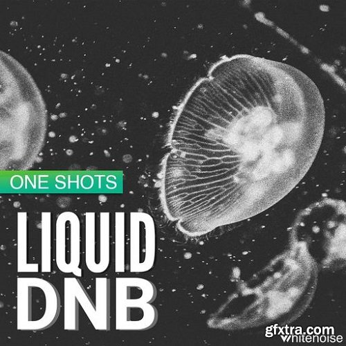 Whitenoise Records Liquid Drum & Bass ONESHOTS WAV